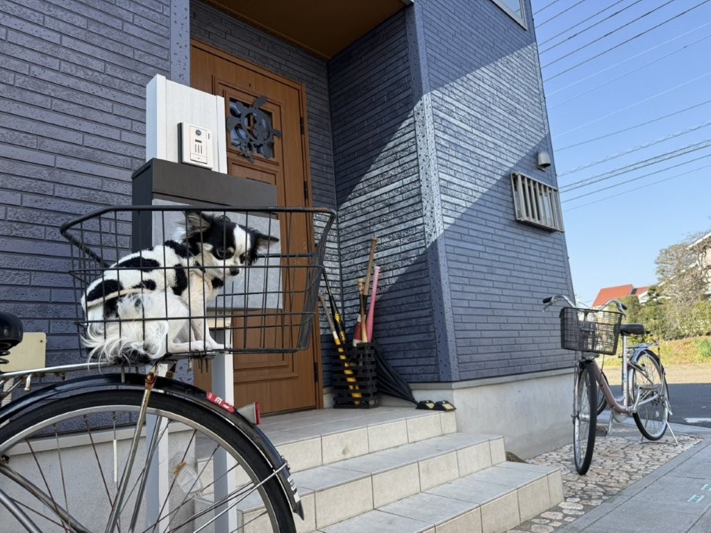 三郷市 外壁塗装 施工後 玄関まわりの印象